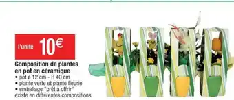 Cora x Carrefour Composition De Plantes En Pot En Céramique offre