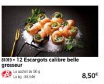 Thiriet 12 Escargots Calibre Belle Grosseur offre