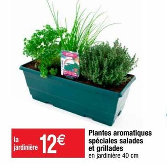 Plantes aromatiques
