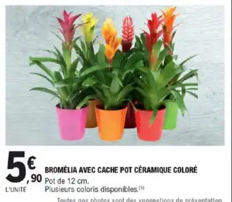 E.Leclerc Bromélia avec cache pot Céramique Coloré offre
