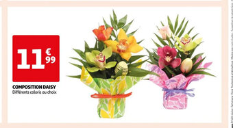 Auchan Composition Daisy offre
