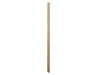Brico Dépôt Blooma poteau skimia classe 4 - p. 9 x h. 240 x ep. 4,5 cm offre
