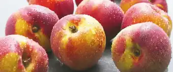 Auchan PÊCHES OU NECTARINES FILIÈRE RESPONSABLE offre