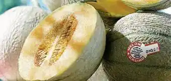 Petit Casino MELON CHARENTAIS JAUNE CATÉGORIE 1 CALIBRE 950/1150 G offre