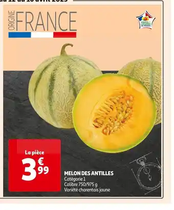 Melon Des Antilles