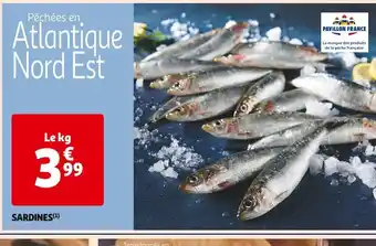 Auchan Supermarché Sardines offre