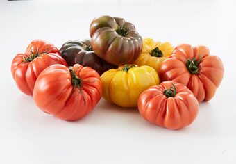 Match Tomate ancienne offre