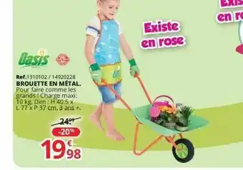 Brouette En Métal Oasis