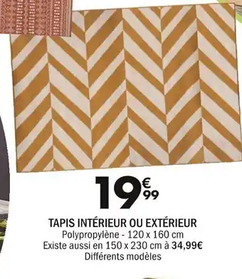 La Foir'Fouille Tapis Intérieur Ou Extérieur offre