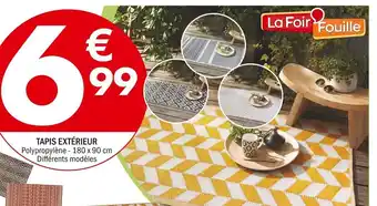 La Foir'Fouille Tapis Extérieur offre