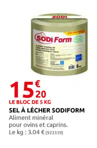 Rural Master Sel À Lécher Sodiform offre