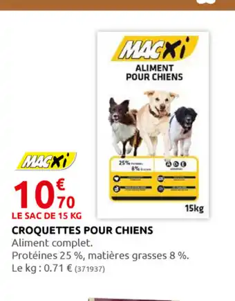 Croquettes Pour Chiens