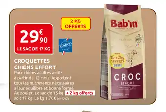 Rural Master Croquettes Chiens Effort offre