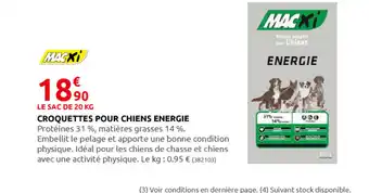 Rural Master Croquettes Pour Chiens Energie offre