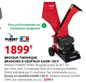 Rural Master Broyeur Thermique Branhces & Végétaux Kaori 100P offre