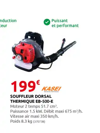 Rural Master Souffleur Dorsal Thermique EB-500-E offre