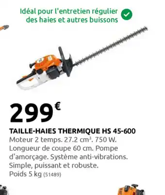 Rural Master Taille-Haies Thermique HS 45-600 offre