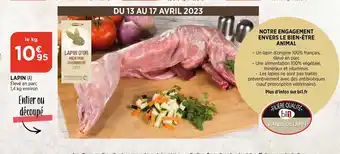 Bi1 Lapin offre
