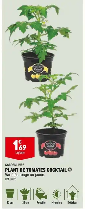 ALDI Gardenline plant de tomates cocktail offre