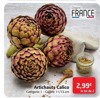 Colruyt Artichauts calico offre