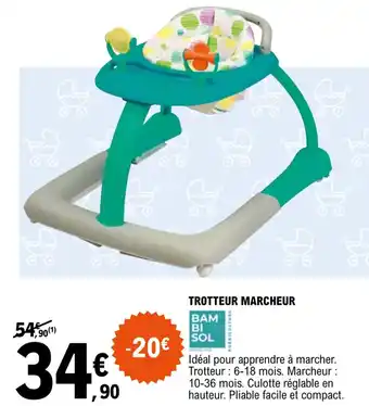 Trotteur marcheur