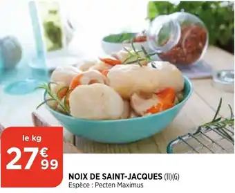 Bi1 Noix de saint-jacques offre