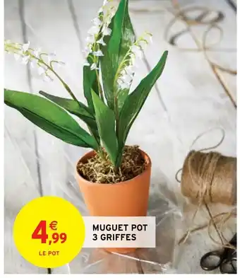Intermarché Express Muguet pot 3 griffes offre