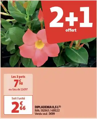 Auchan Supermarché Dipladenia 0,5 l offre
