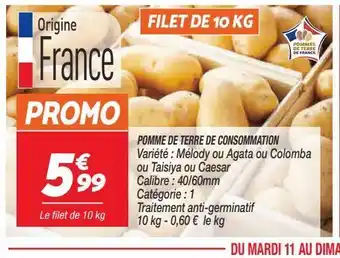 Netto Pommes de terre de consommation offre