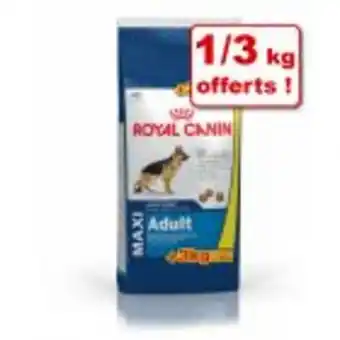 Zooplus Croquettes royal canin size 8 ou 15 kg + 1 ou 3 kg offerts ! offre