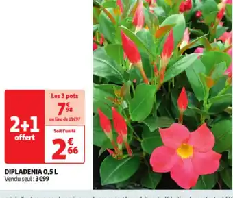 Auchan Dipladenia 0,5L offre