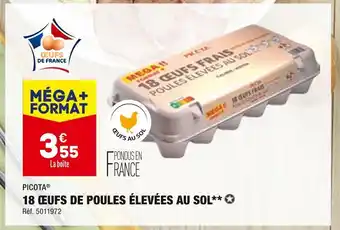 ALDI Picota 18 œufs de poules élevées au sol offre
