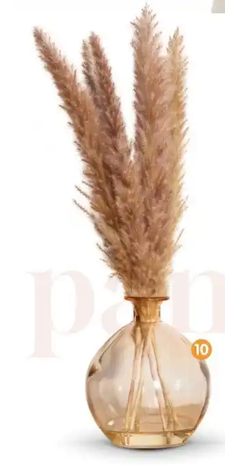 b&m Pampa dans vase en verre offre