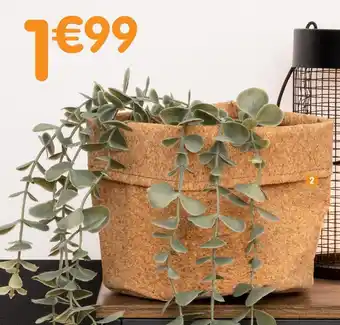 b&m Panier en liège offre