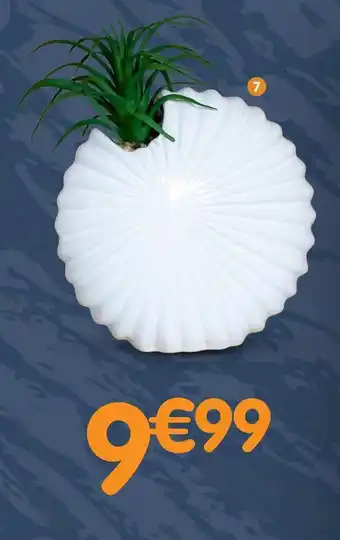 b&m Plante artificielle dans pot coquillage offre