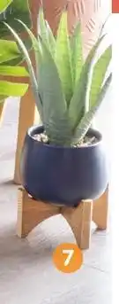 Plante artificielle aloe sur pied