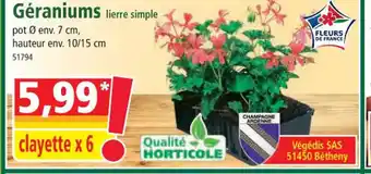Norma Geraniums offre