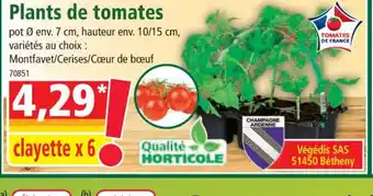 Norma Plants de tomates offre