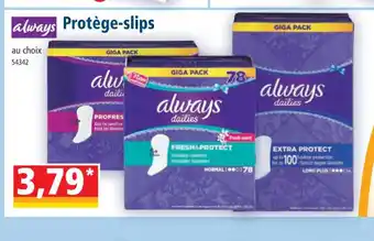 Norma Protege slips offre