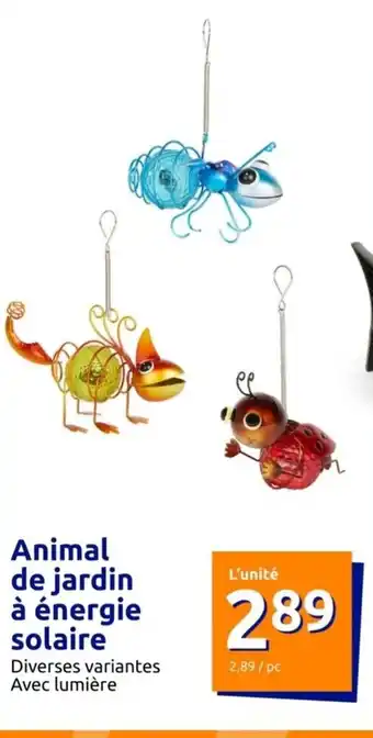Action Animal De Jardin A énergie Solaire offre