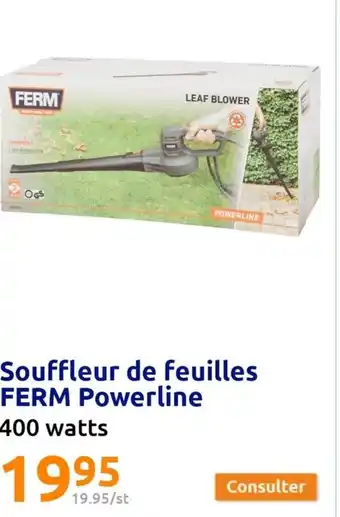Action Souffleur De Feuilles FERM powerline offre