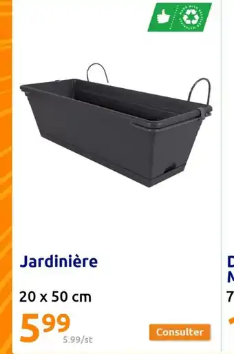 Action Jardiniere 20x50 cm offre