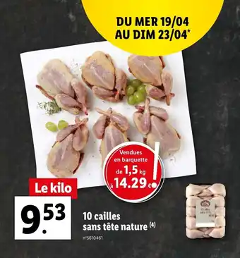 Lidl 10 cailles sans tête nature offre