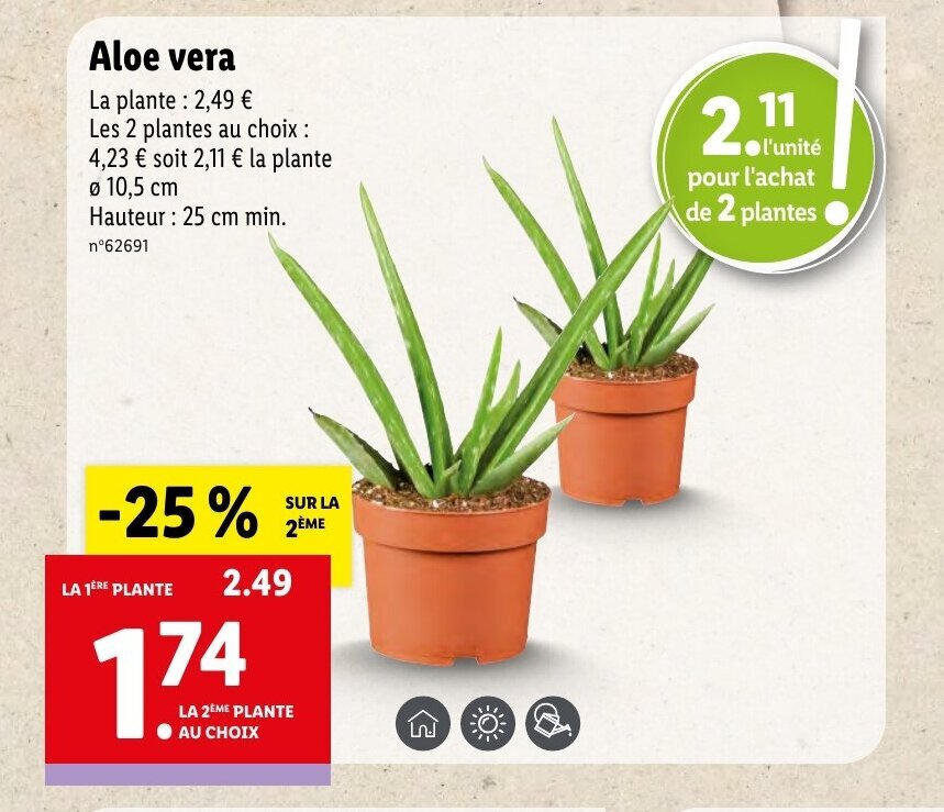 Promo Aloe vera chez Lidl