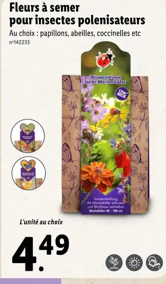 Lidl Fleurs à Semer Pour Insectes Poelnisateurs offre
