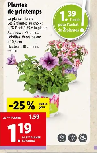 Lidl Plantes de Pritemps offre