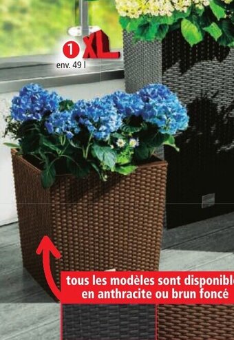 Colonne Ă Plantes