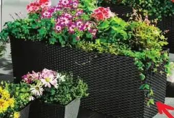 Norma Jardinière 2 en 1 offre