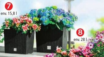 Norma Pot de Fleurs offre