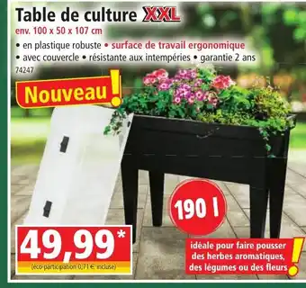 Norma Table de Culture offre
